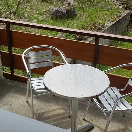 Leuca 11 * ロイカーバード